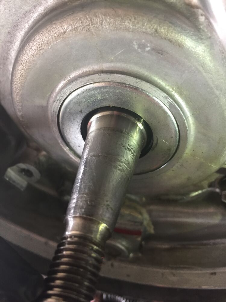Forum member supplied image with no explanatory text