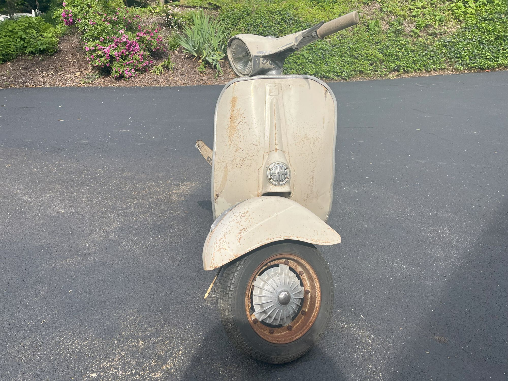 Forum member supplied image with no explanatory text