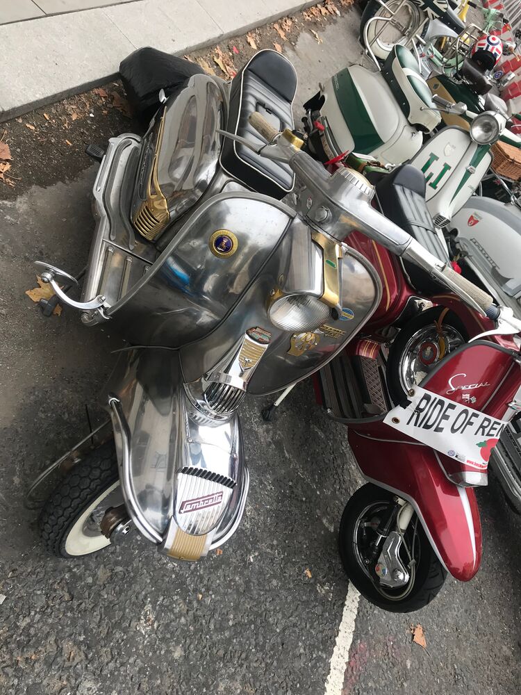Shiny shiny