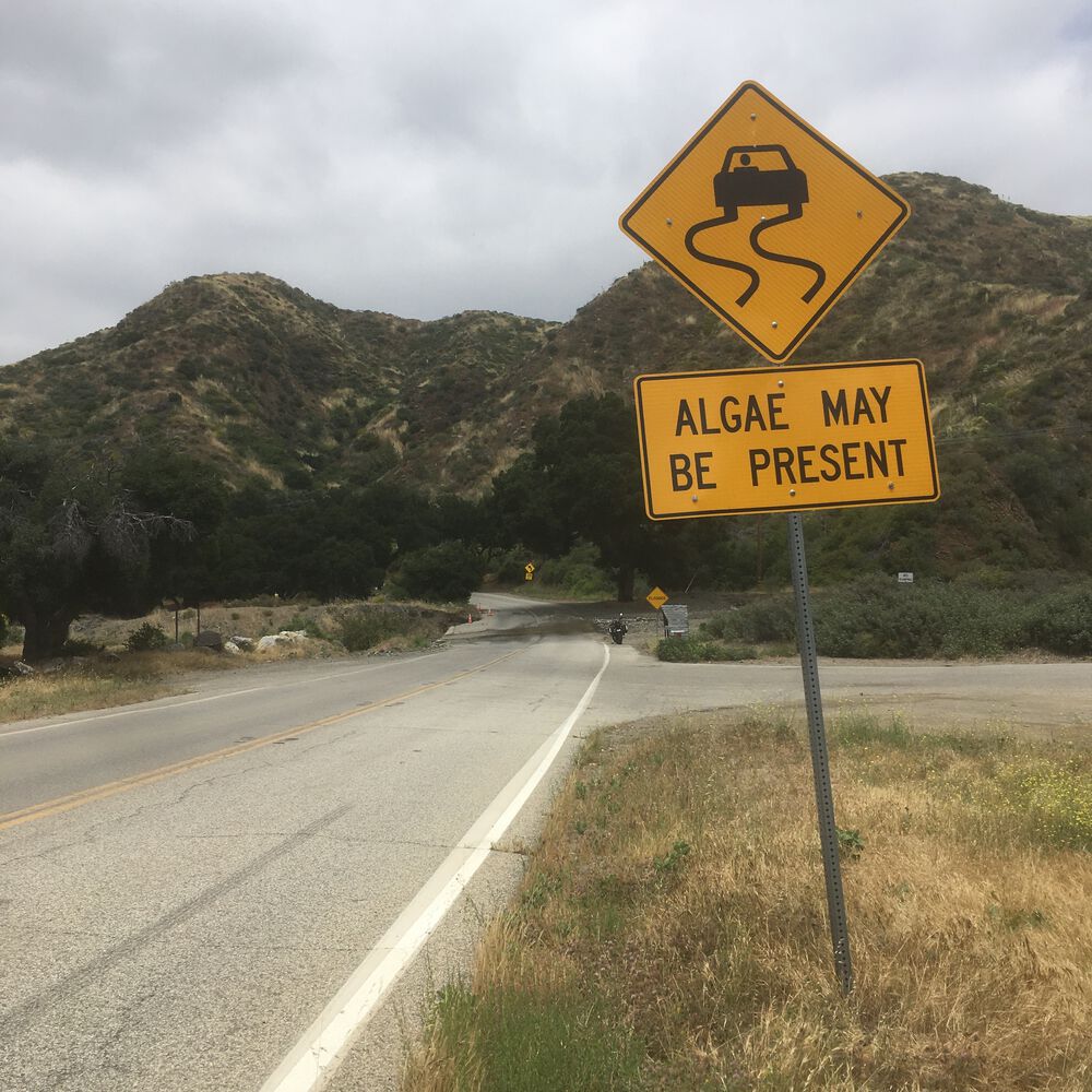 Forum member supplied image with no explanatory text