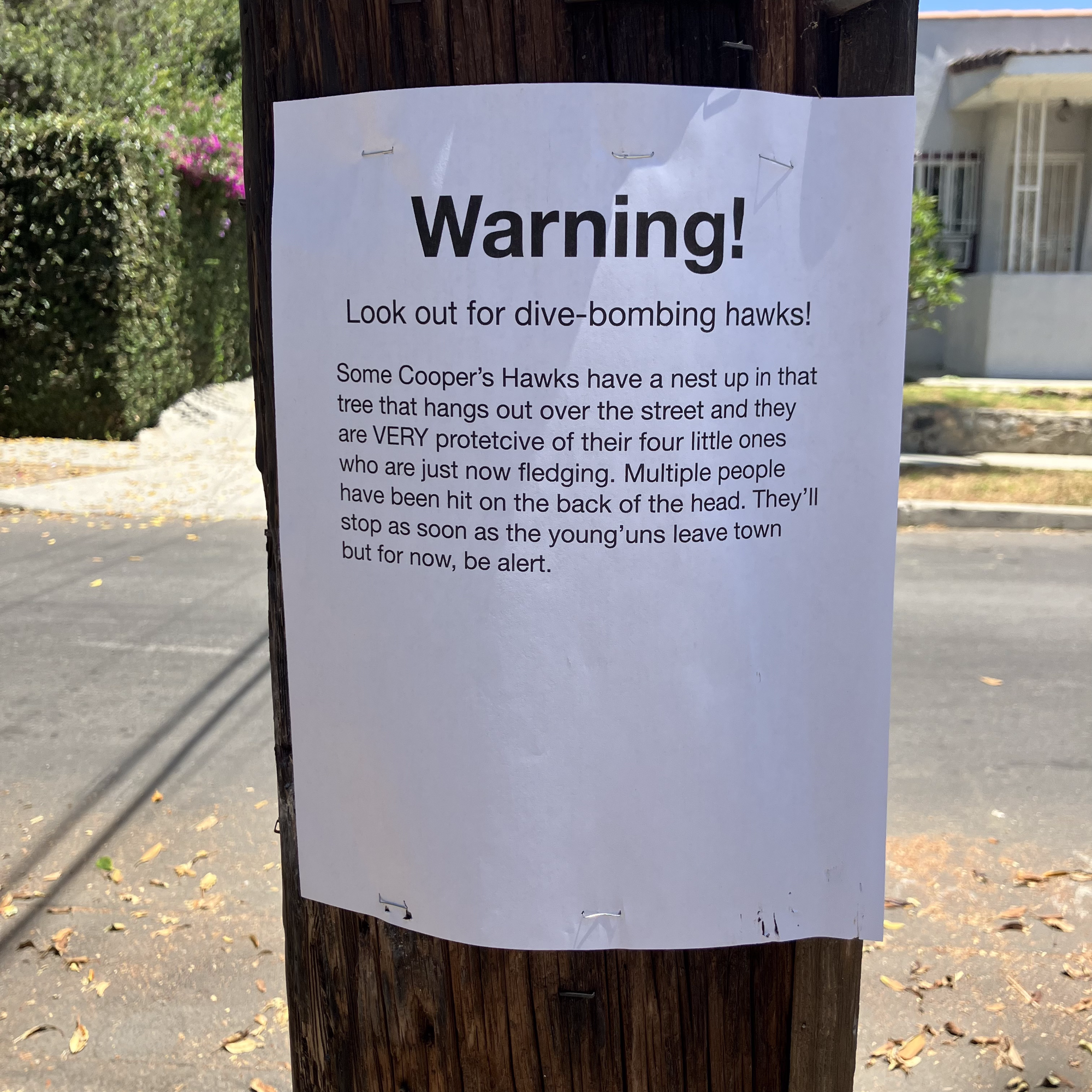 Forum member supplied image with no explanatory text