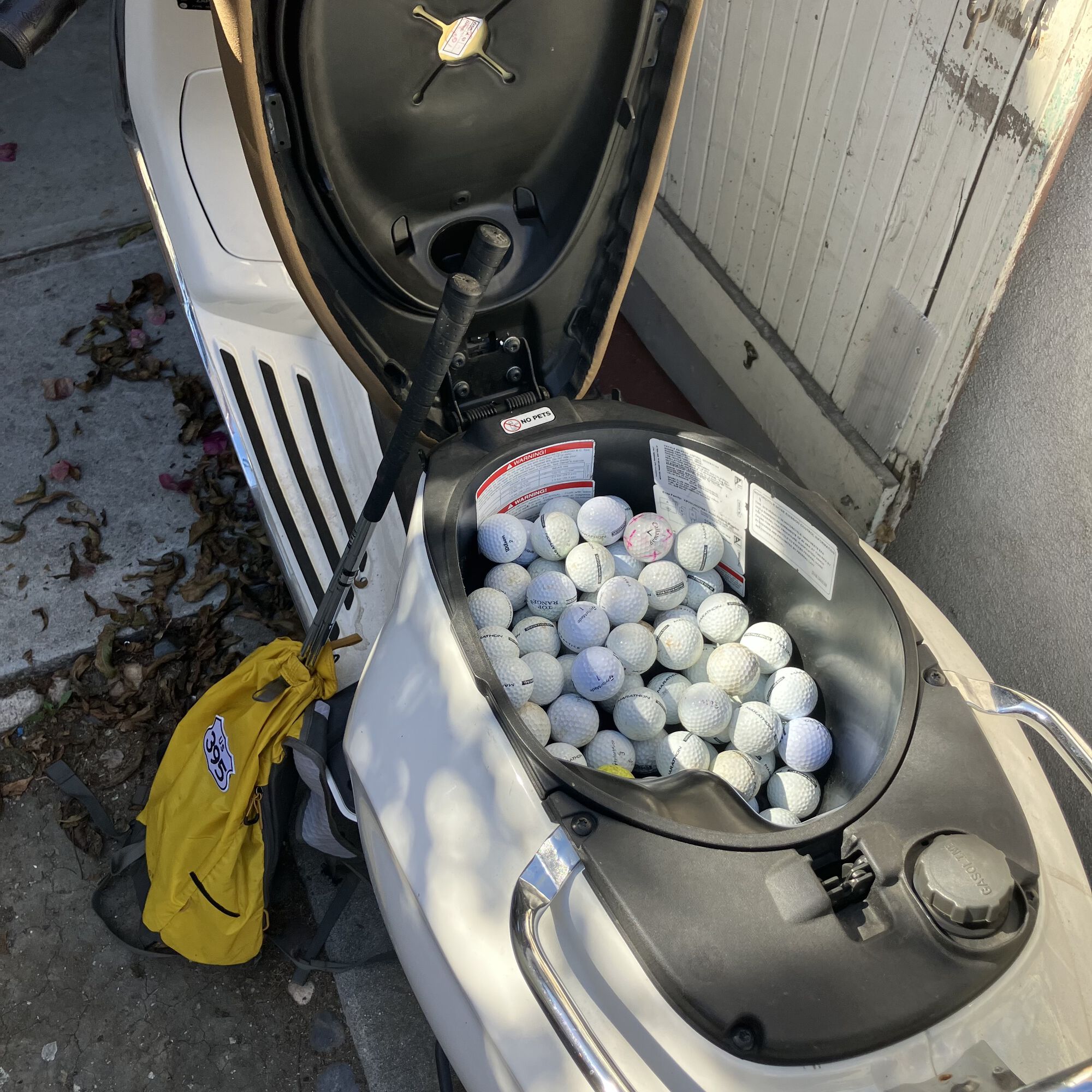 Forum member supplied image with no explanatory text