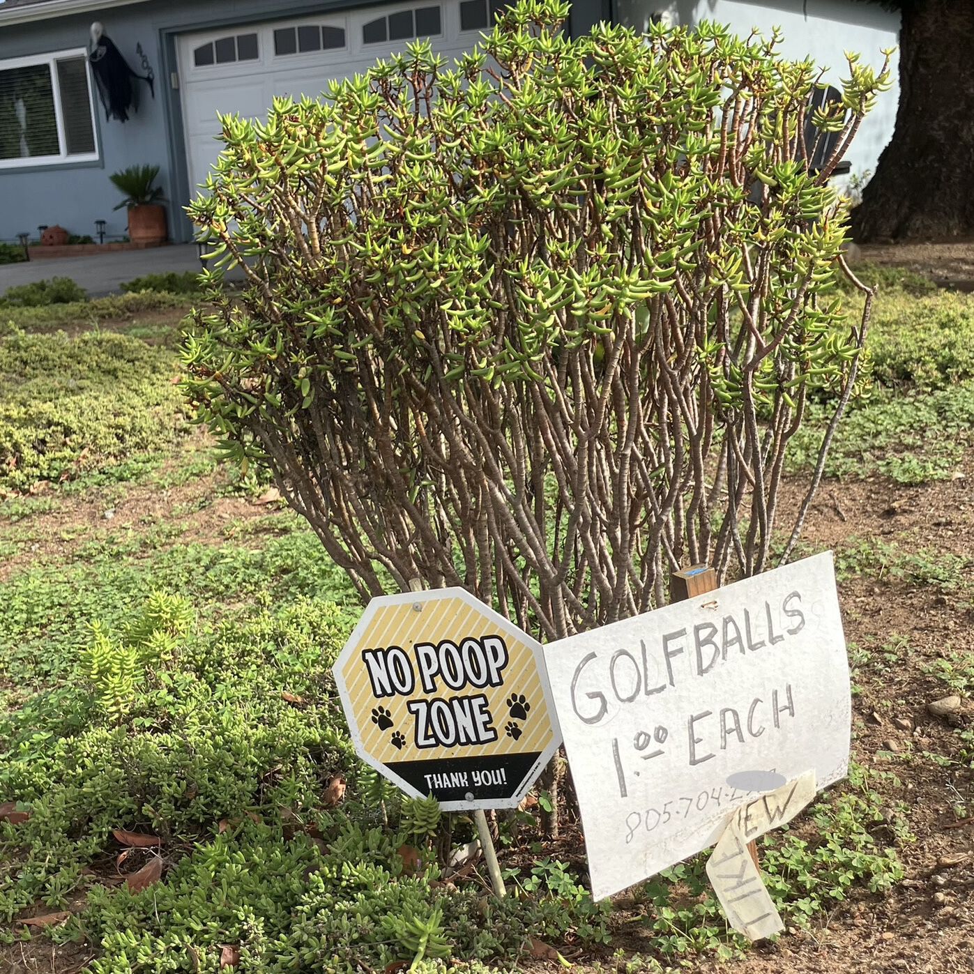 Forum member supplied image with no explanatory text