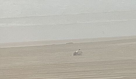 Forum member supplied image with no explanatory text