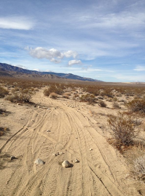 Forum member supplied image with no explanatory text