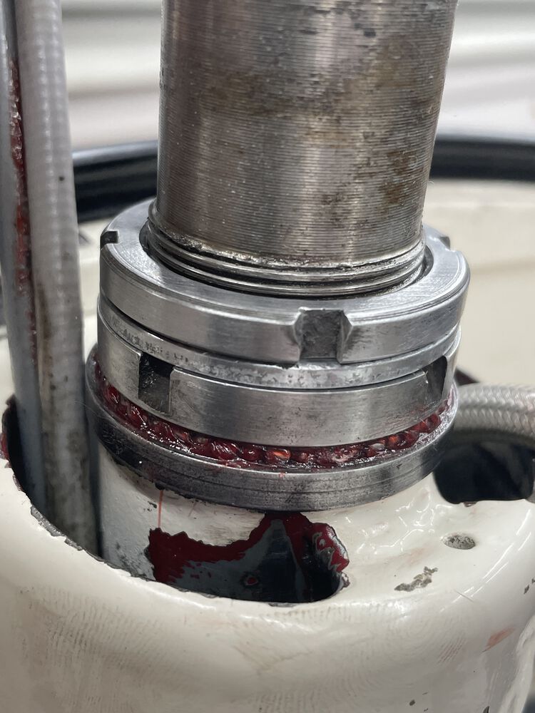 Forum member supplied image with no explanatory text