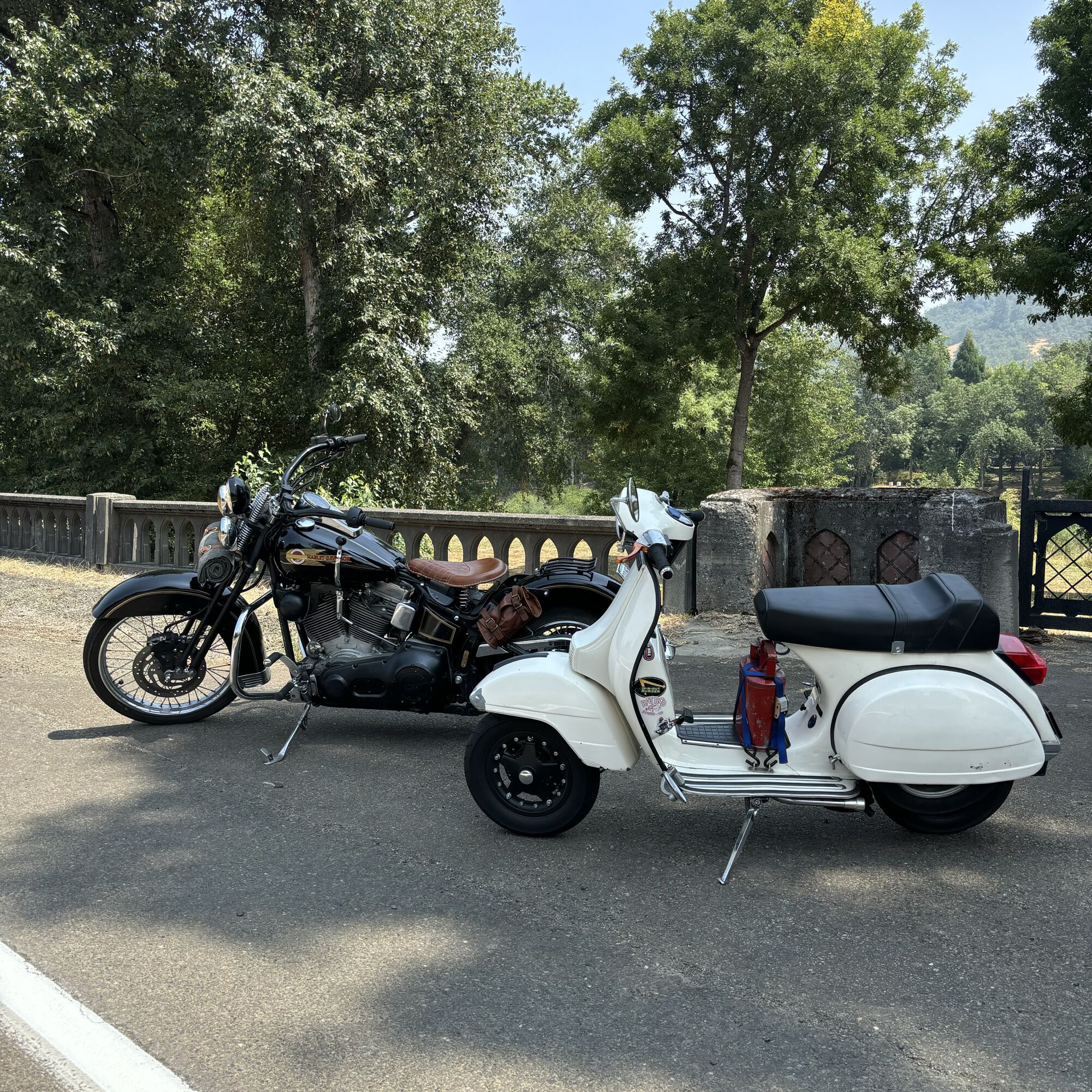 Hawg and a Hot Rod Vespa