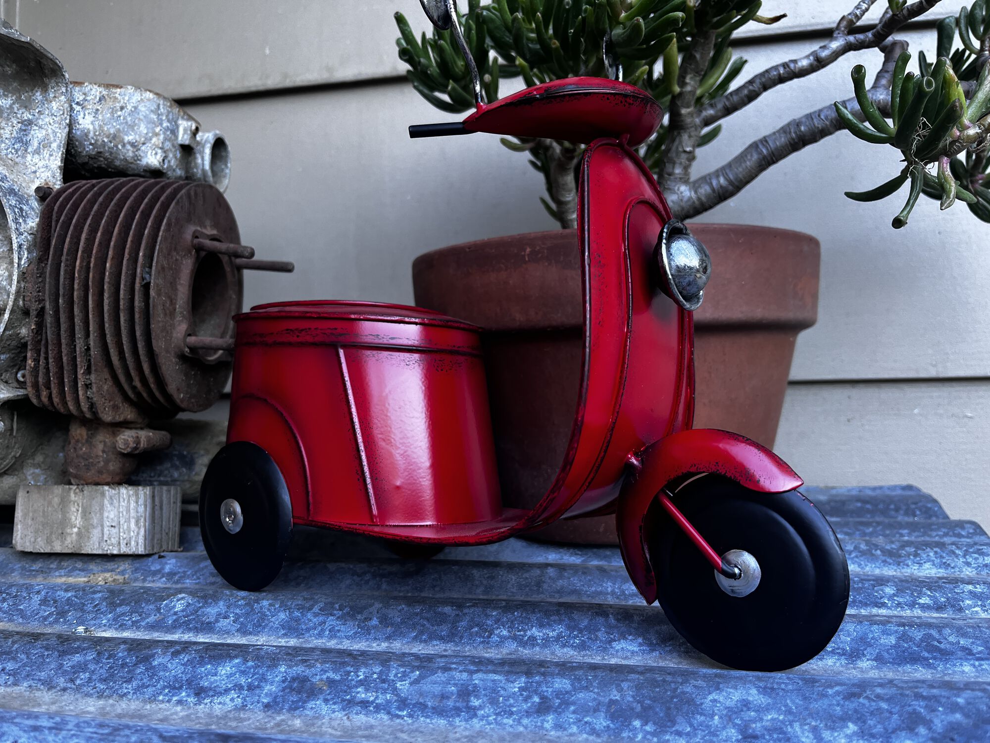 Grocery Outlet Scooter Special! Its a plant(er)!