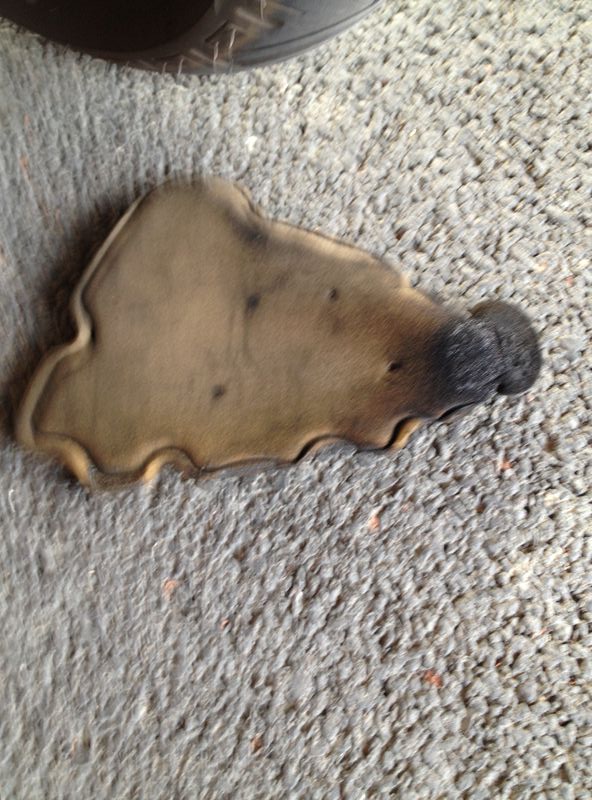 Forum member supplied image with no explanatory text