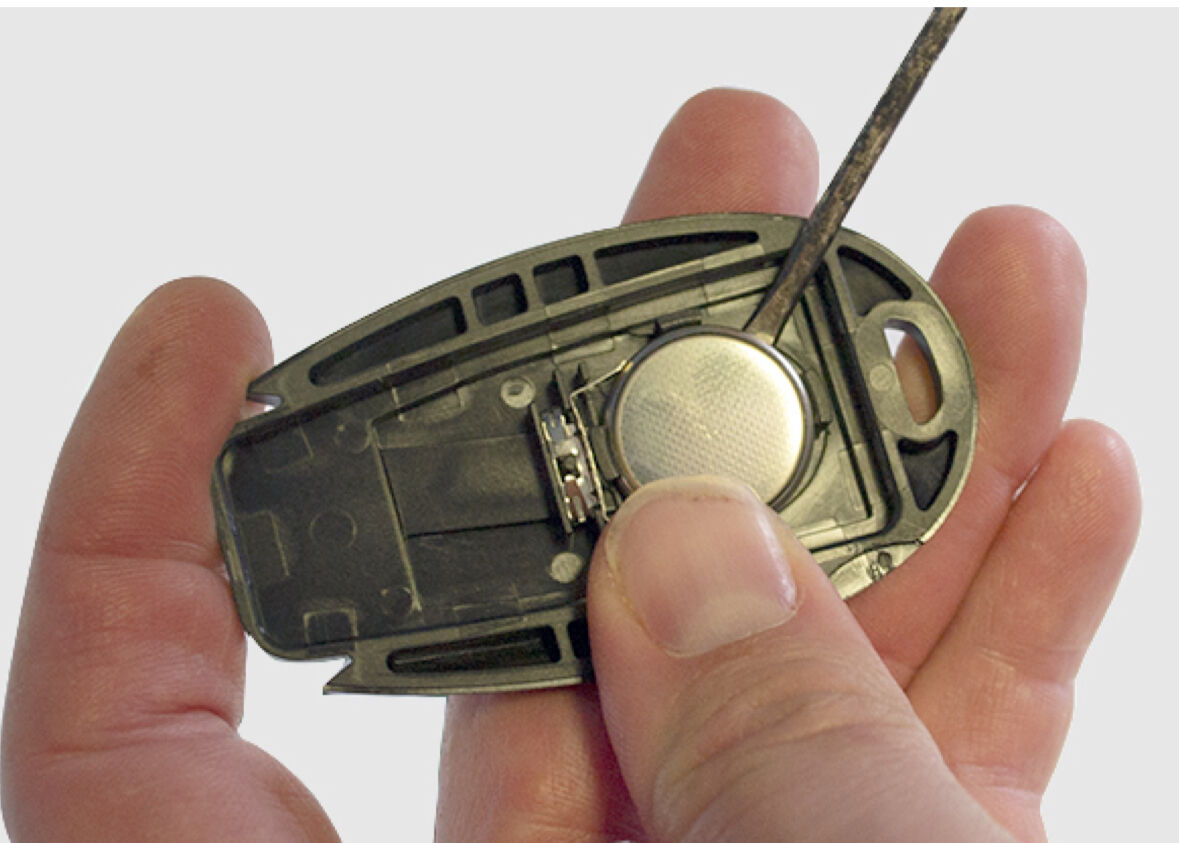 Forum member supplied image with no explanatory text