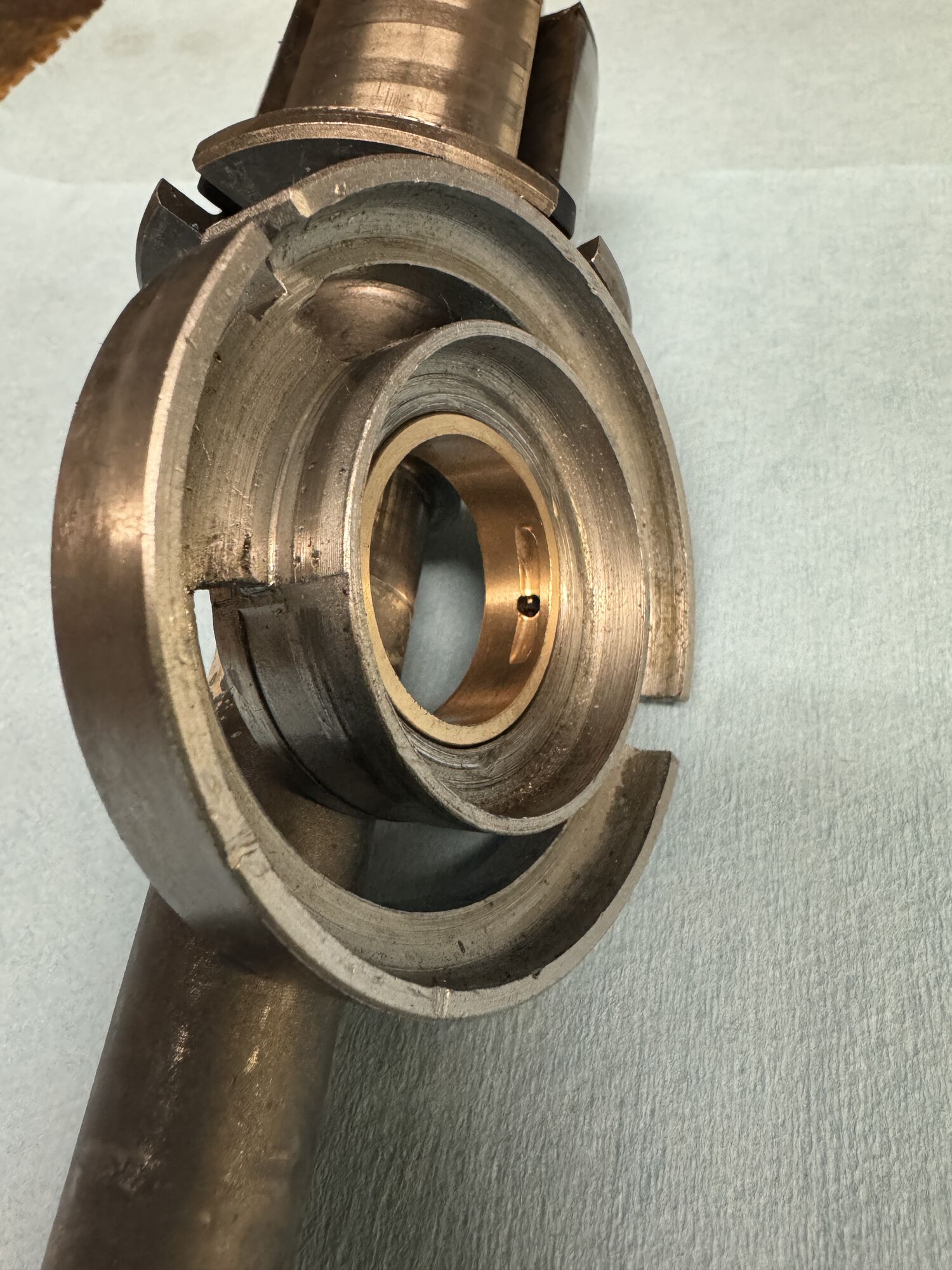 Forum member supplied image with no explanatory text