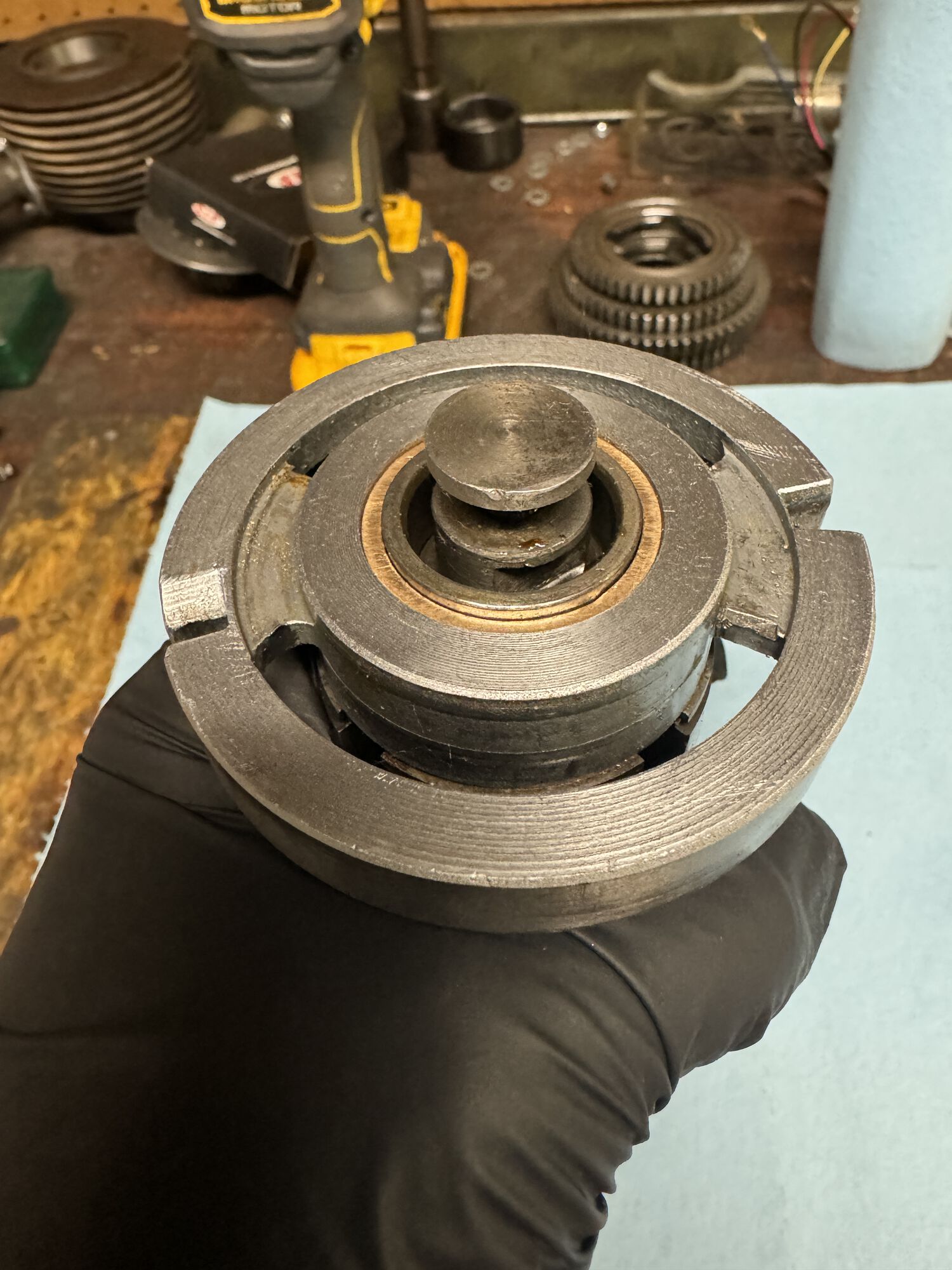 Forum member supplied image with no explanatory text