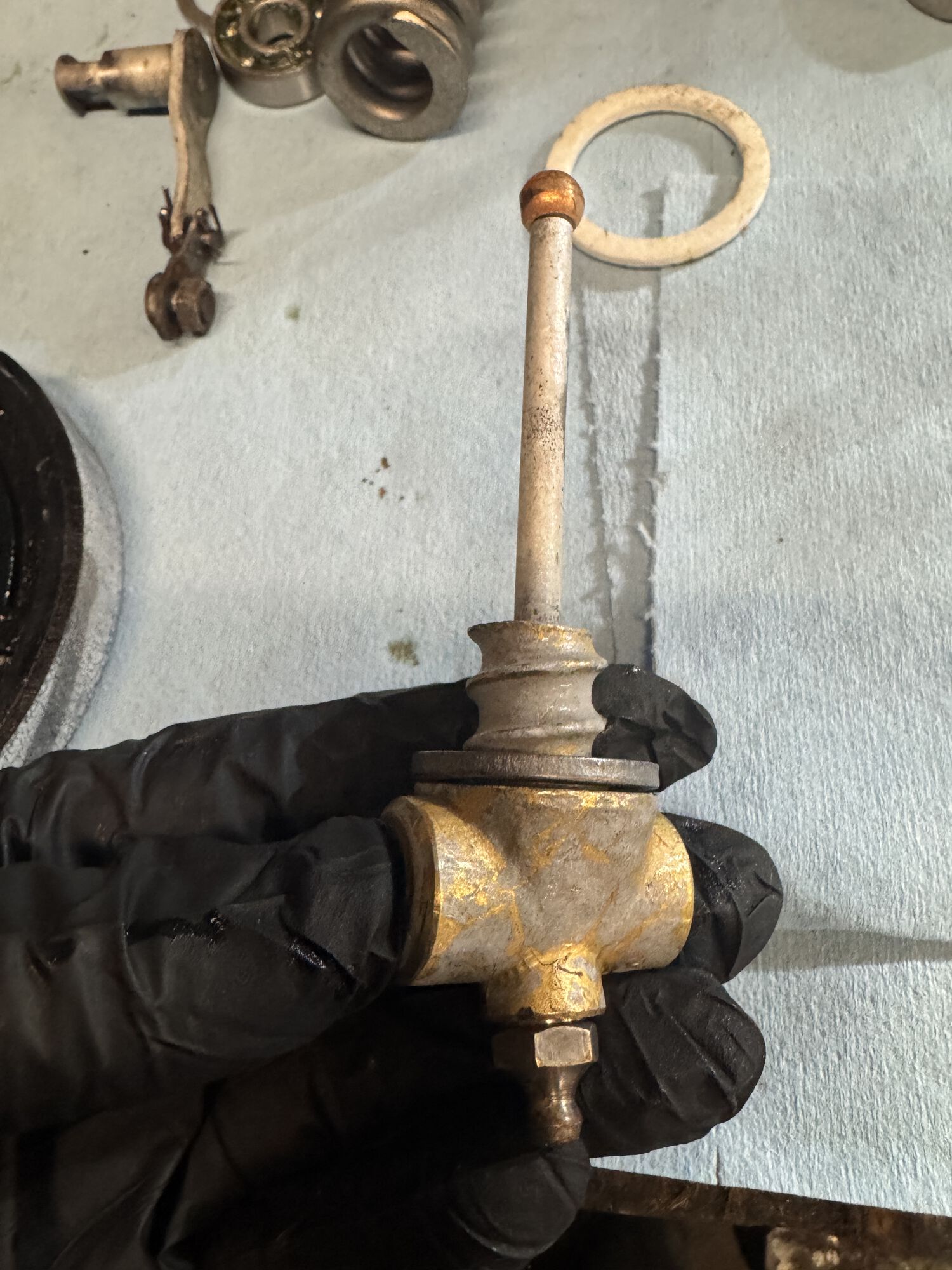 Forum member supplied image with no explanatory text