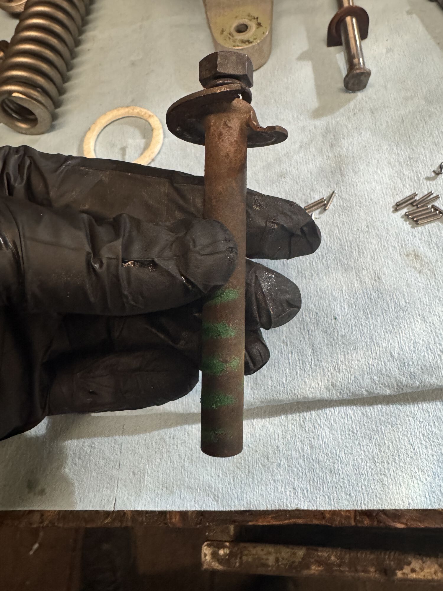 Forum member supplied image with no explanatory text