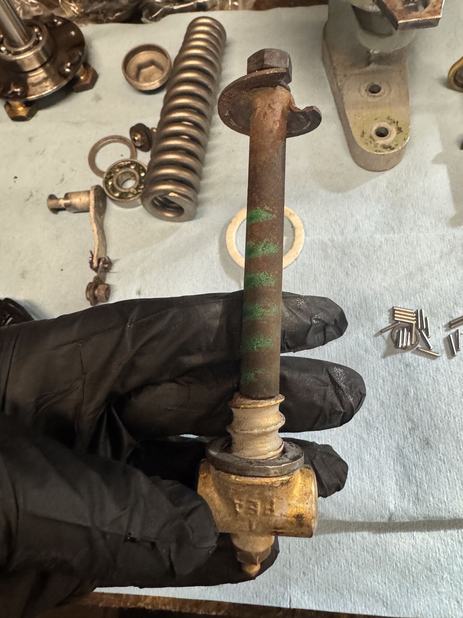 Forum member supplied image with no explanatory text