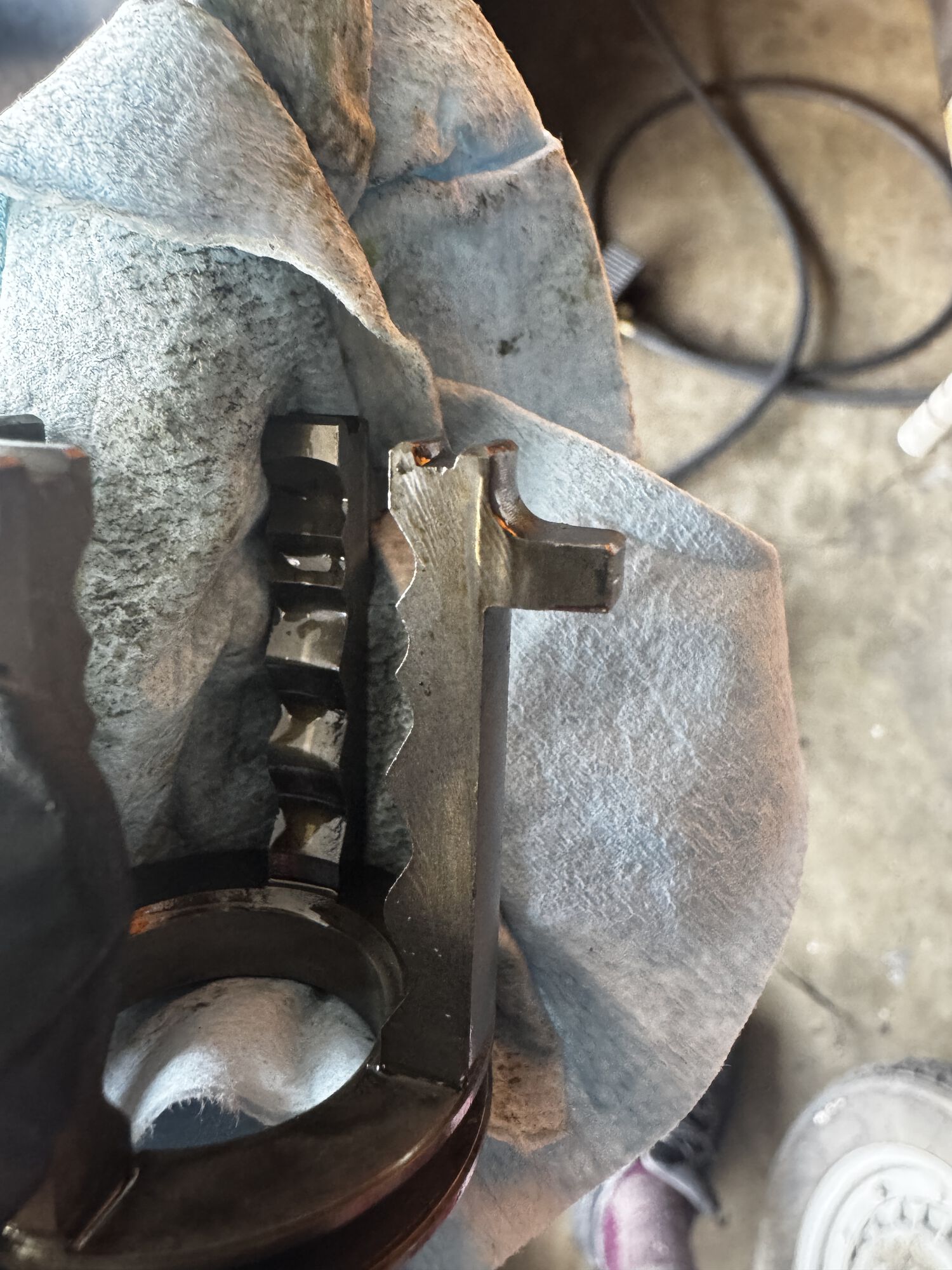 Forum member supplied image with no explanatory text