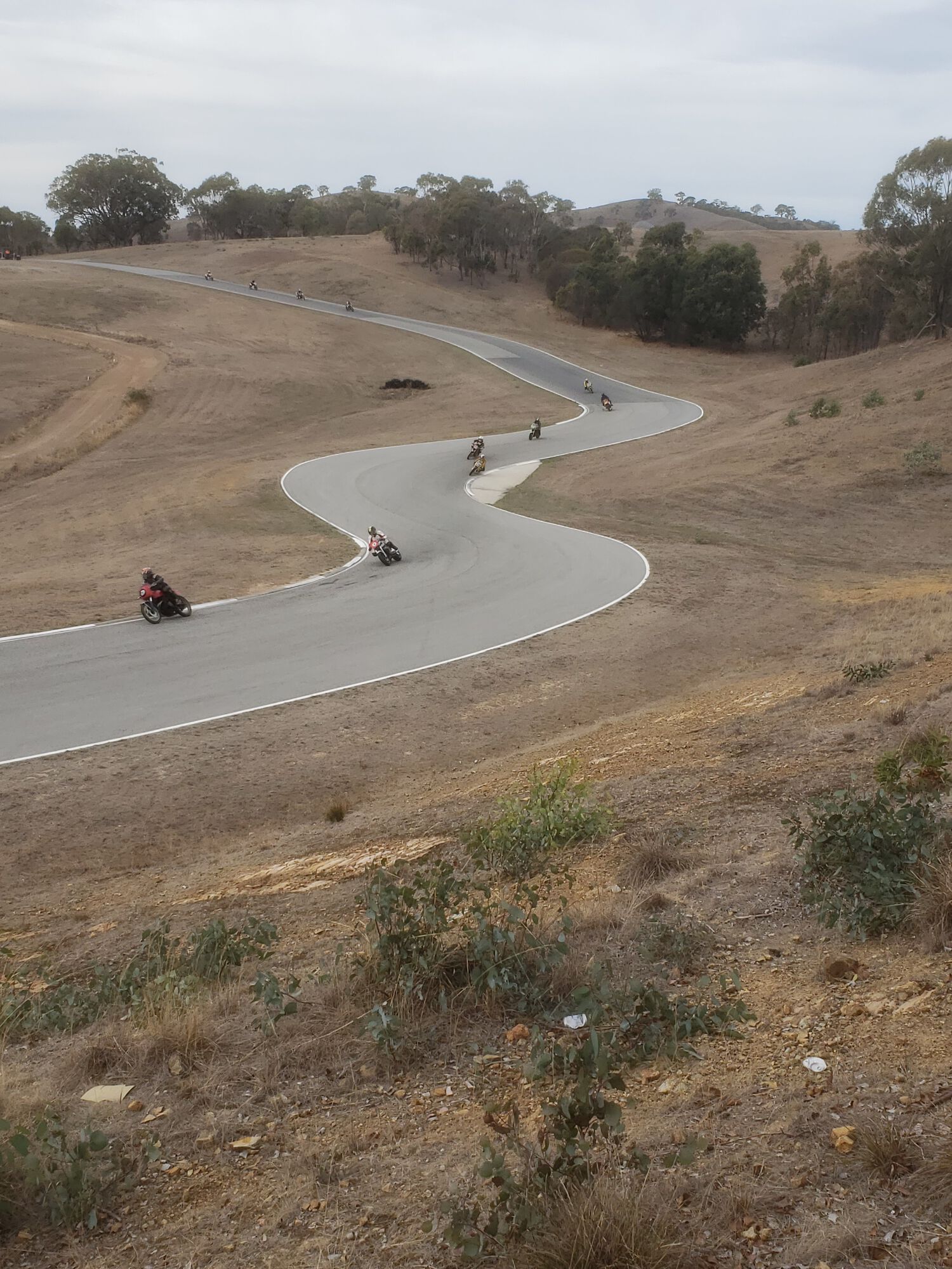 Forum member supplied image with no explanatory text