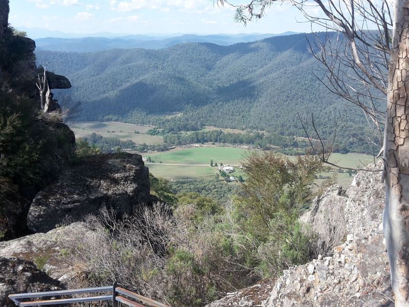 Forum member supplied image with no explanatory text