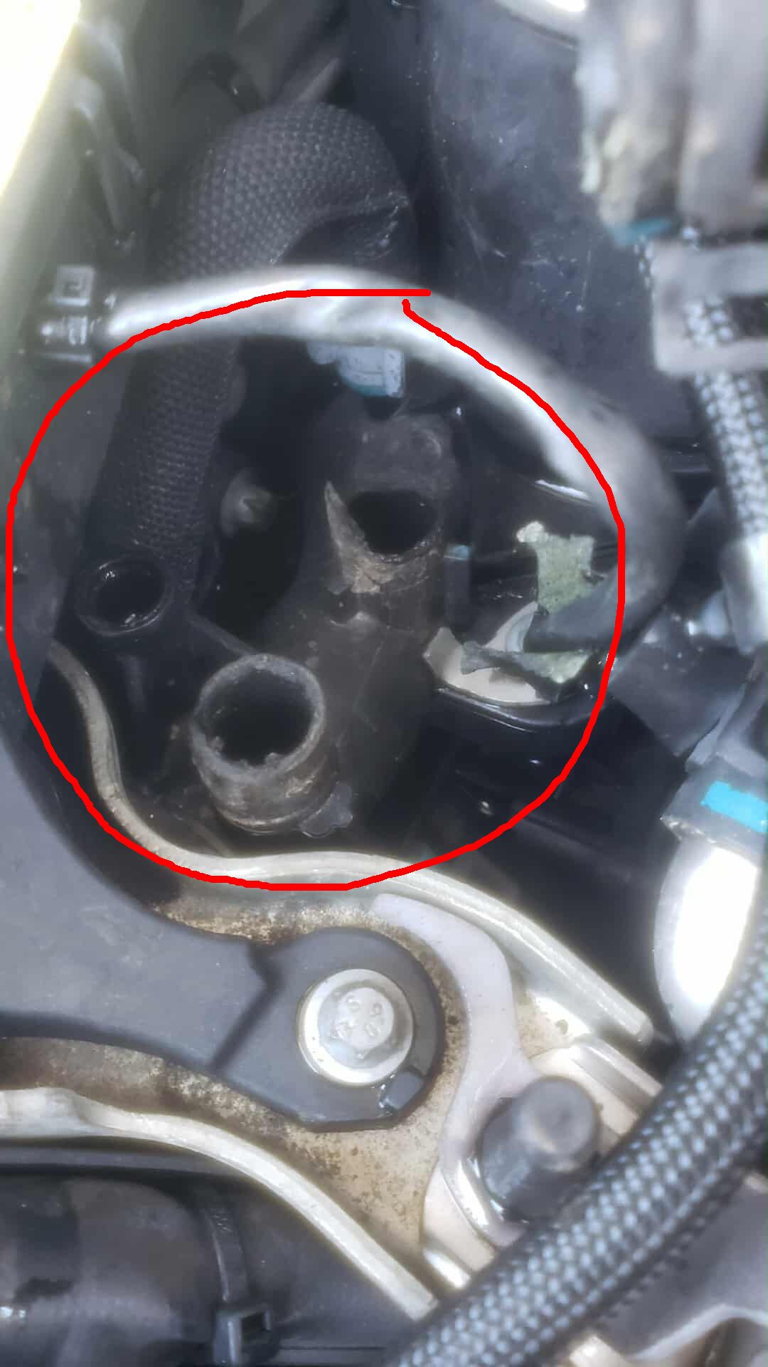 Forum member supplied image with no explanatory text