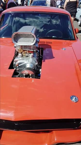 Forum member supplied image with no explanatory text