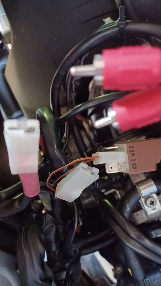 Forum member supplied image with no explanatory text