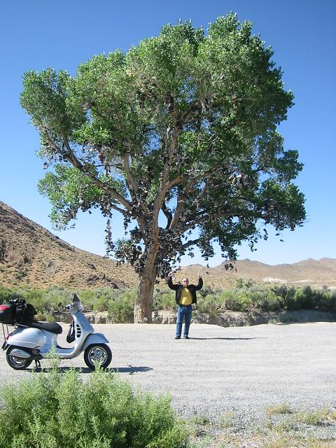 Bobo on the ride to the west coast after Amerivespa 07'(Denver)...in front of now dead tree....grrrr