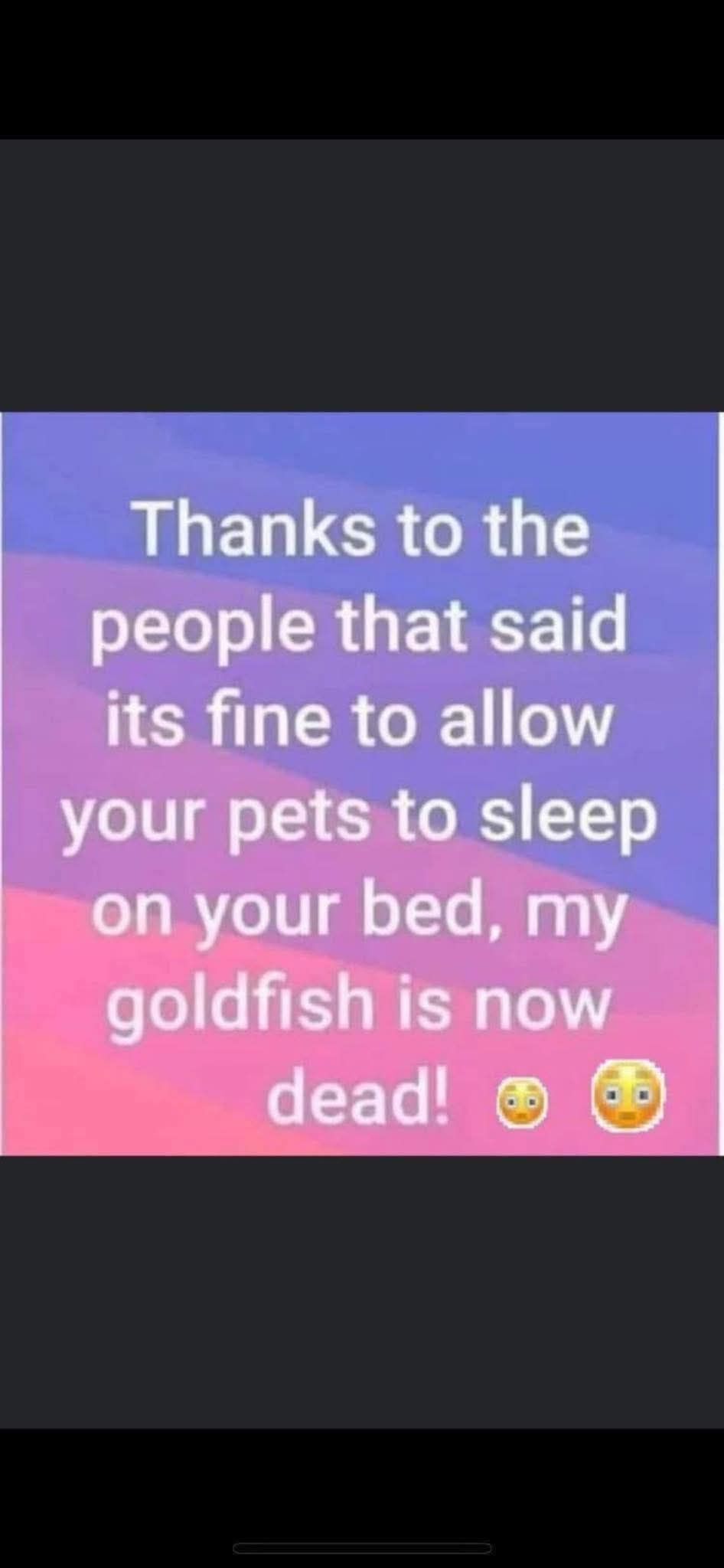 Forum member supplied image with no explanatory text