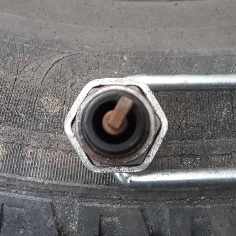 Forum member supplied image with no explanatory text