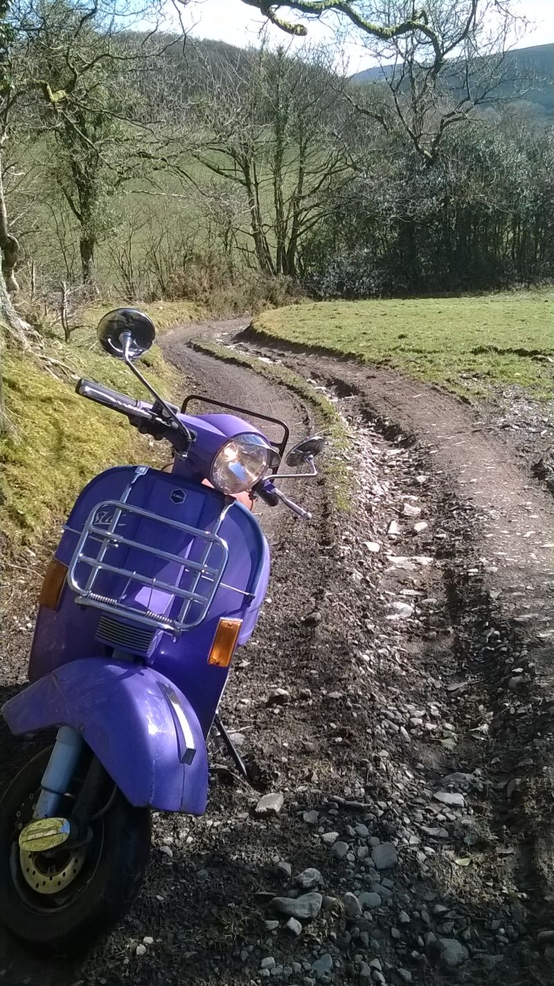 Forum member supplied image with no explanatory text