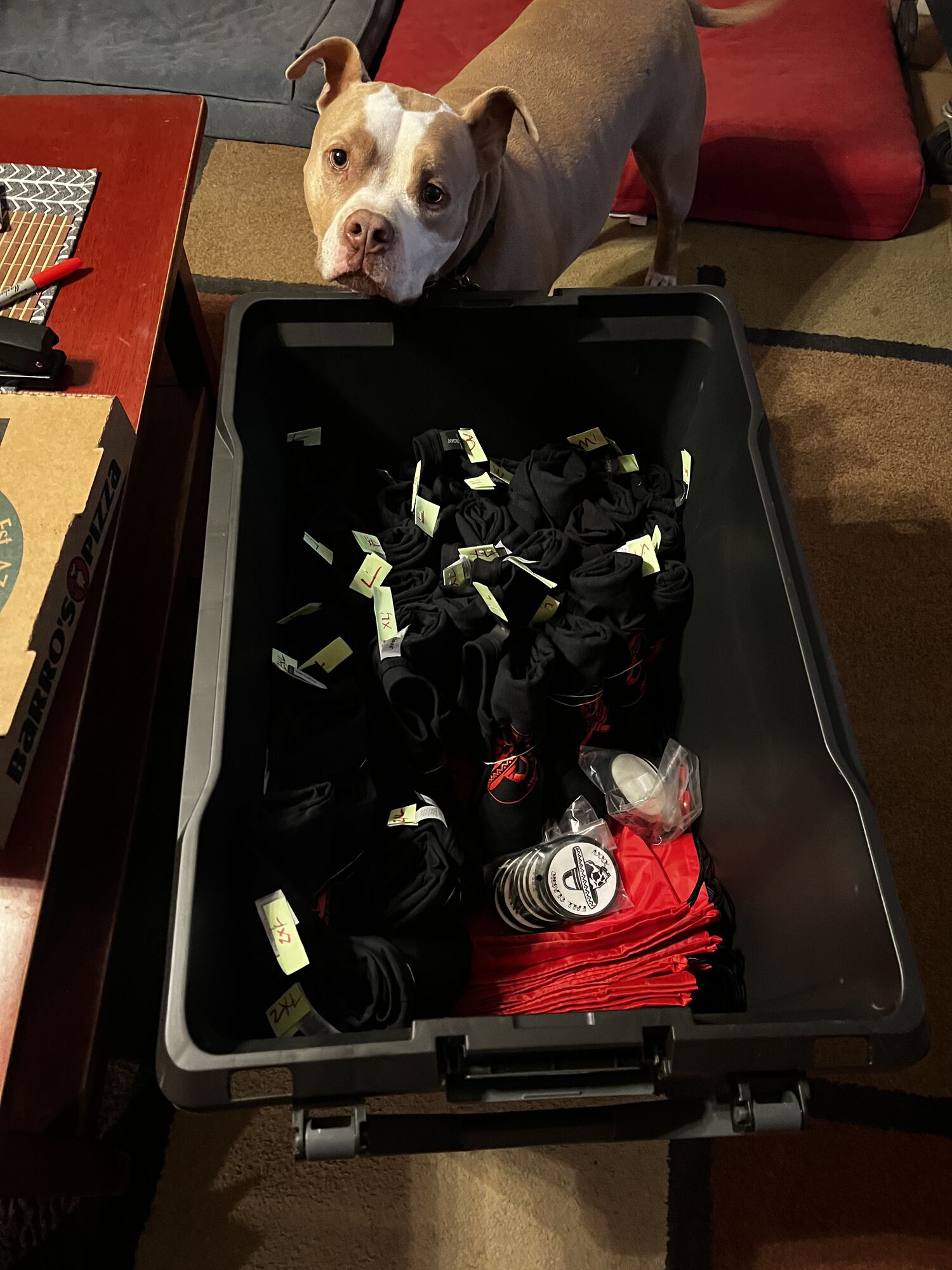 Forum member supplied image with no explanatory text