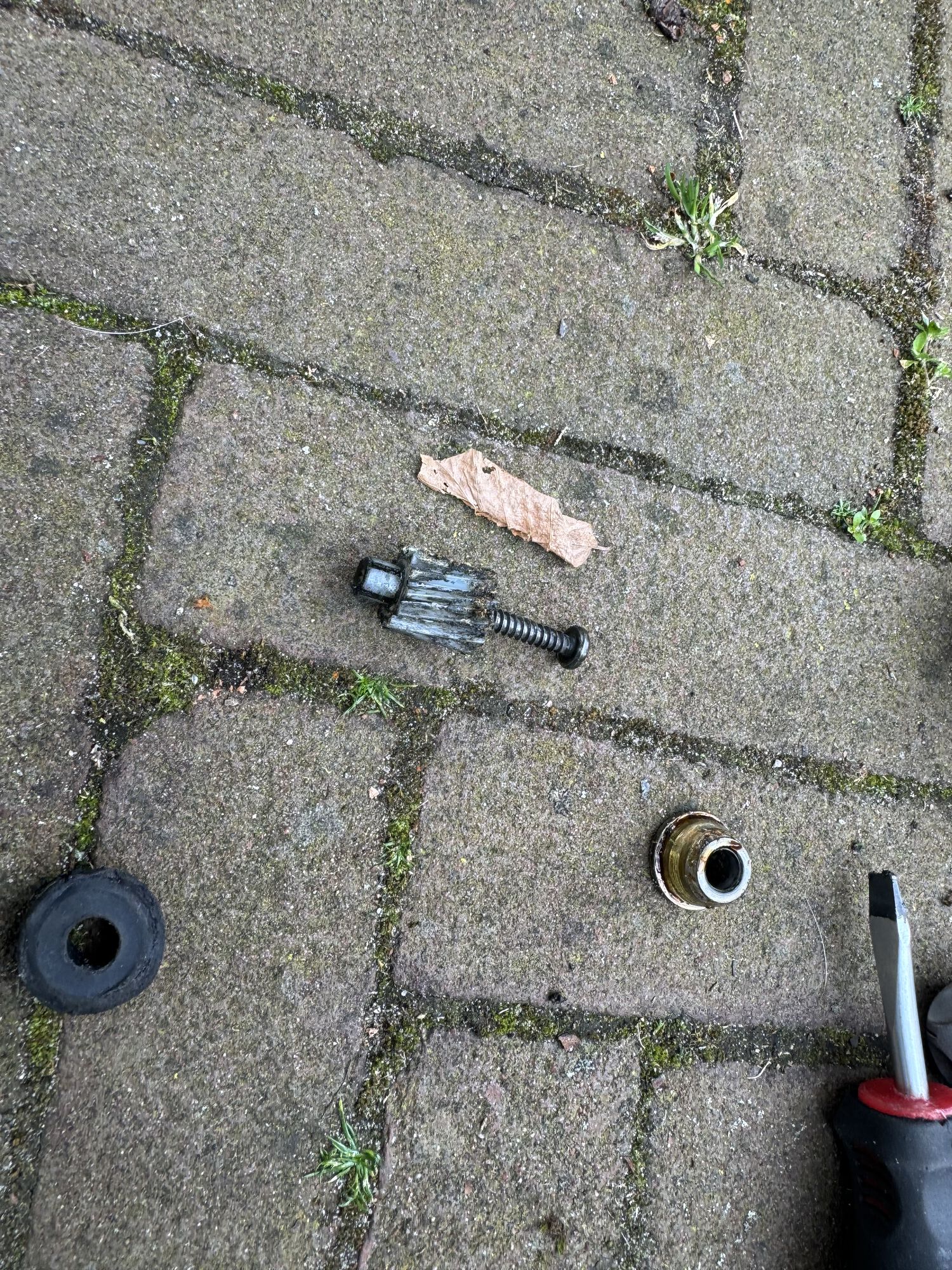 Forum member supplied image with no explanatory text
