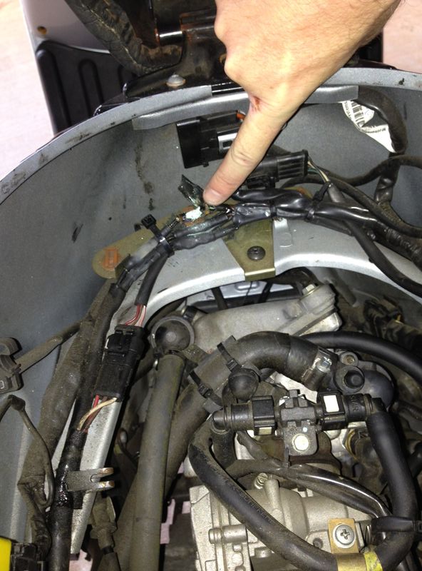 Forum member supplied image with no explanatory text