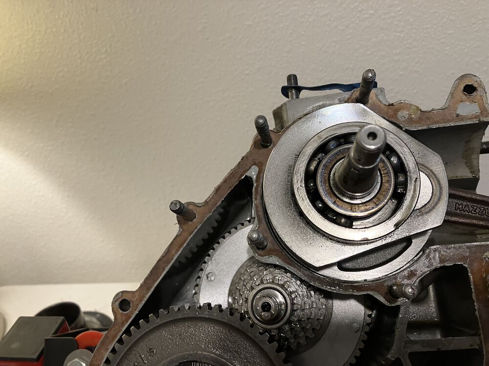 Forum member supplied image with no explanatory text