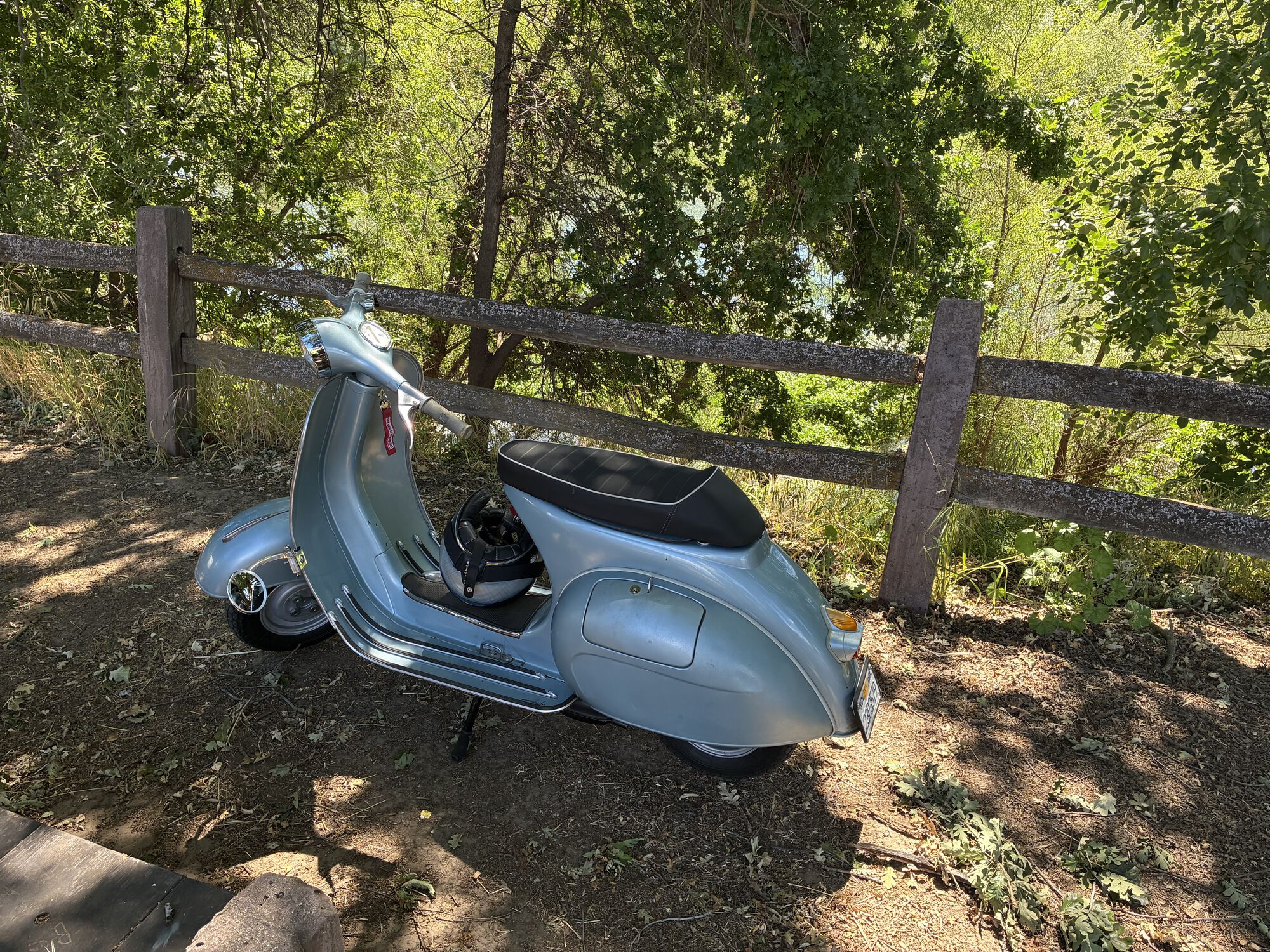 Hot today. Needed some shade