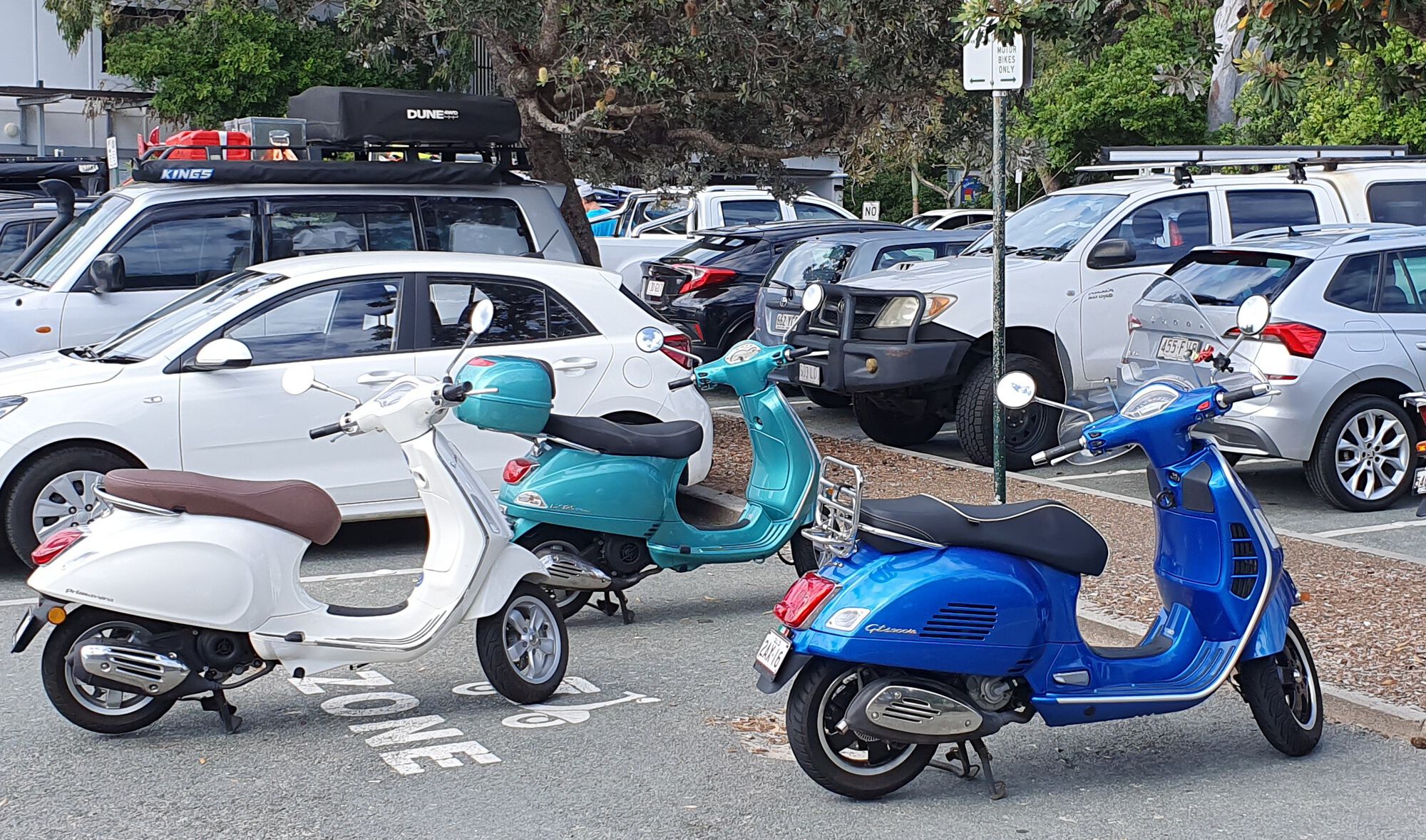 Forum member supplied image with no explanatory text