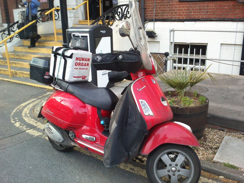 Forum member supplied image with no explanatory text