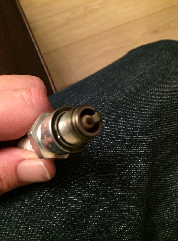 Forum member supplied image with no explanatory text