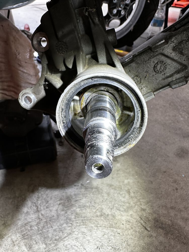 Forum member supplied image with no explanatory text