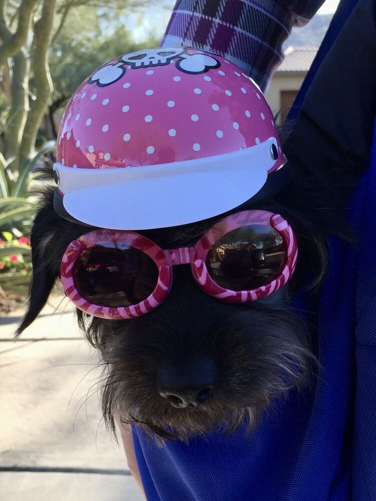 She now sits in a front-pack so she can "walk" out on my left arm as we increase speed.