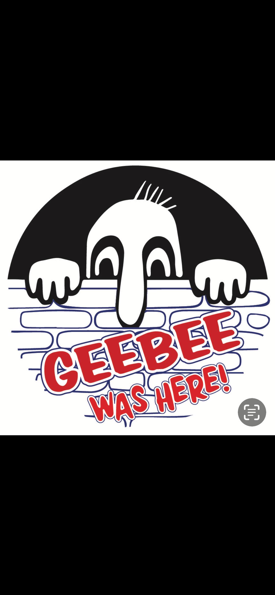 Forum member supplied image with no explanatory text