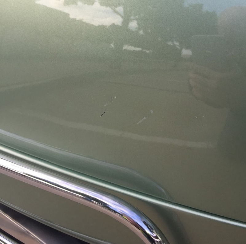 Forum member supplied image with no explanatory text