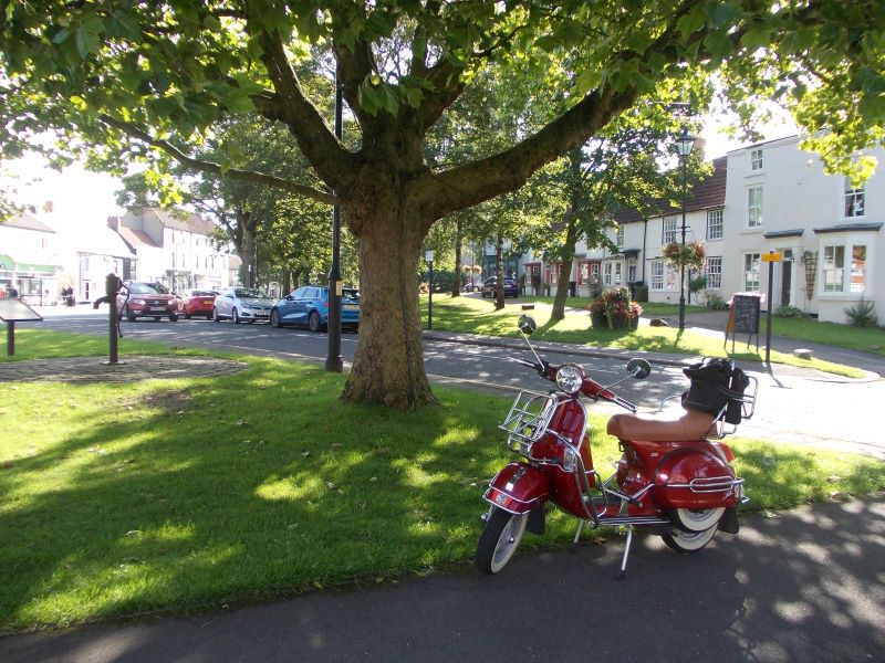 The village green, beautiful trees and very old houses of character.