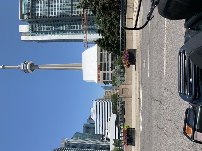 Forum member supplied image with no explanatory text