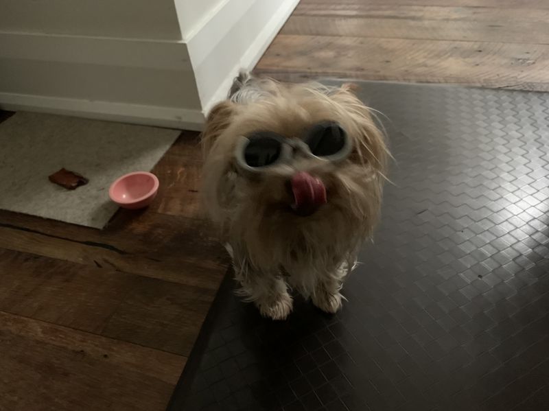 Forum member supplied image with no explanatory text