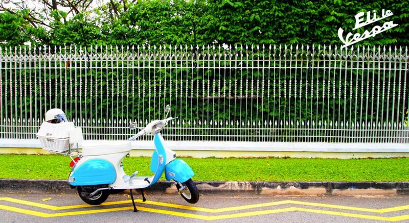 Beautiful fence at Mount Sophia