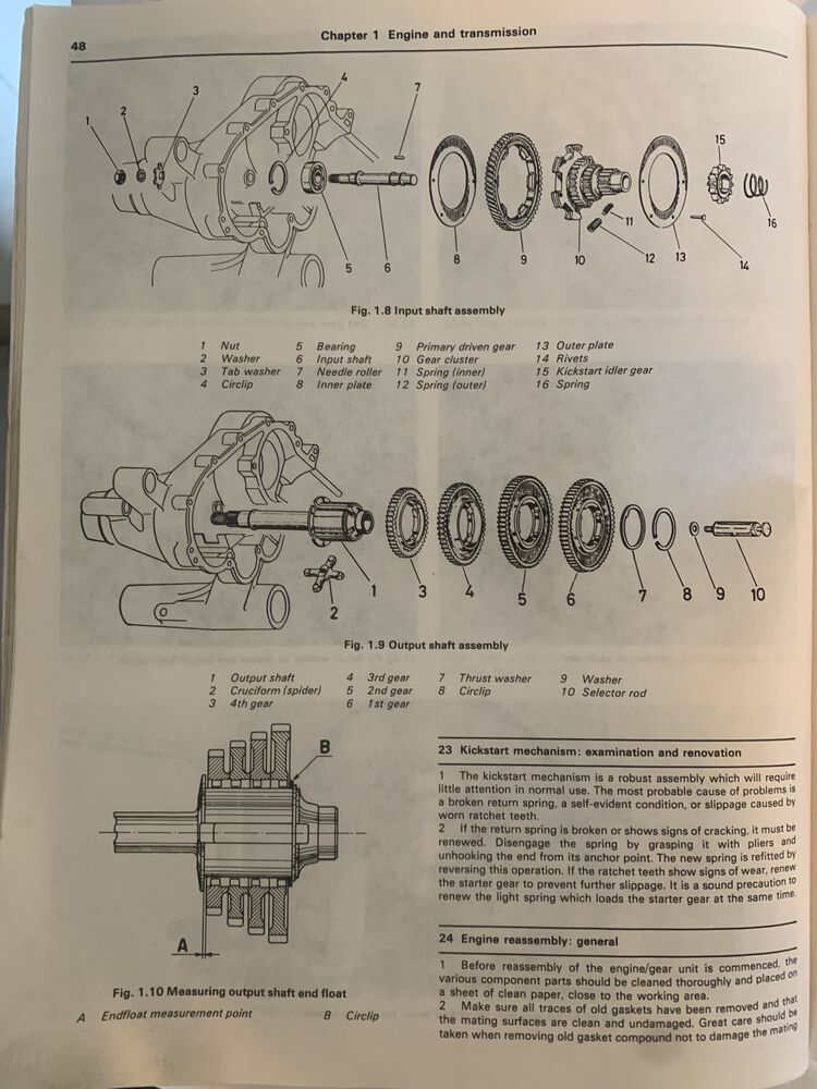 Forum member supplied image with no explanatory text