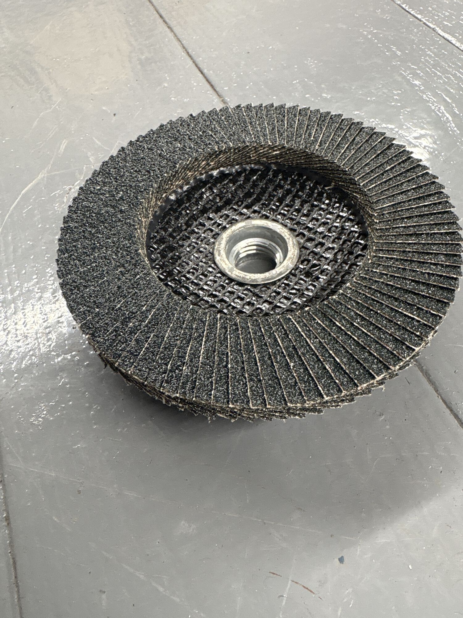 Tiger Paw. sanding Disk