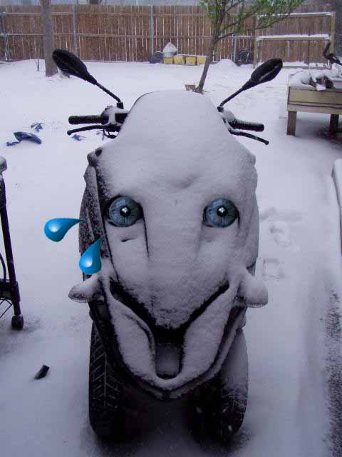 Forum member supplied image with no explanatory text