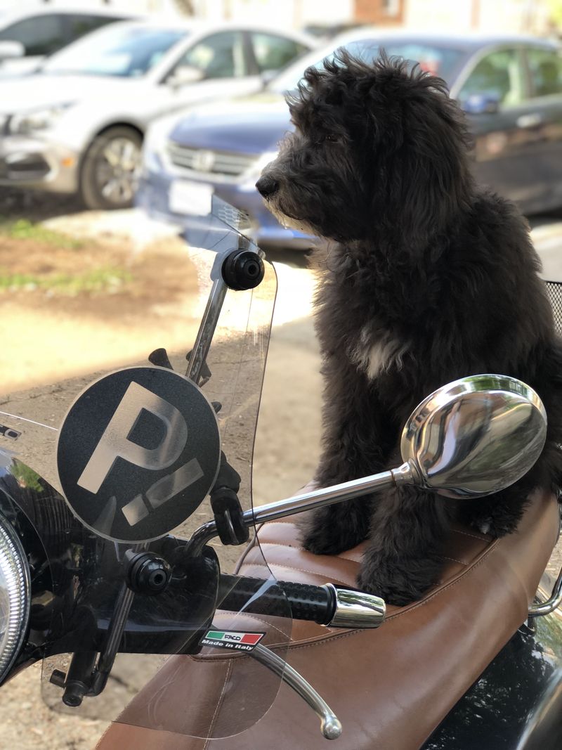 Forum member supplied image with no explanatory text