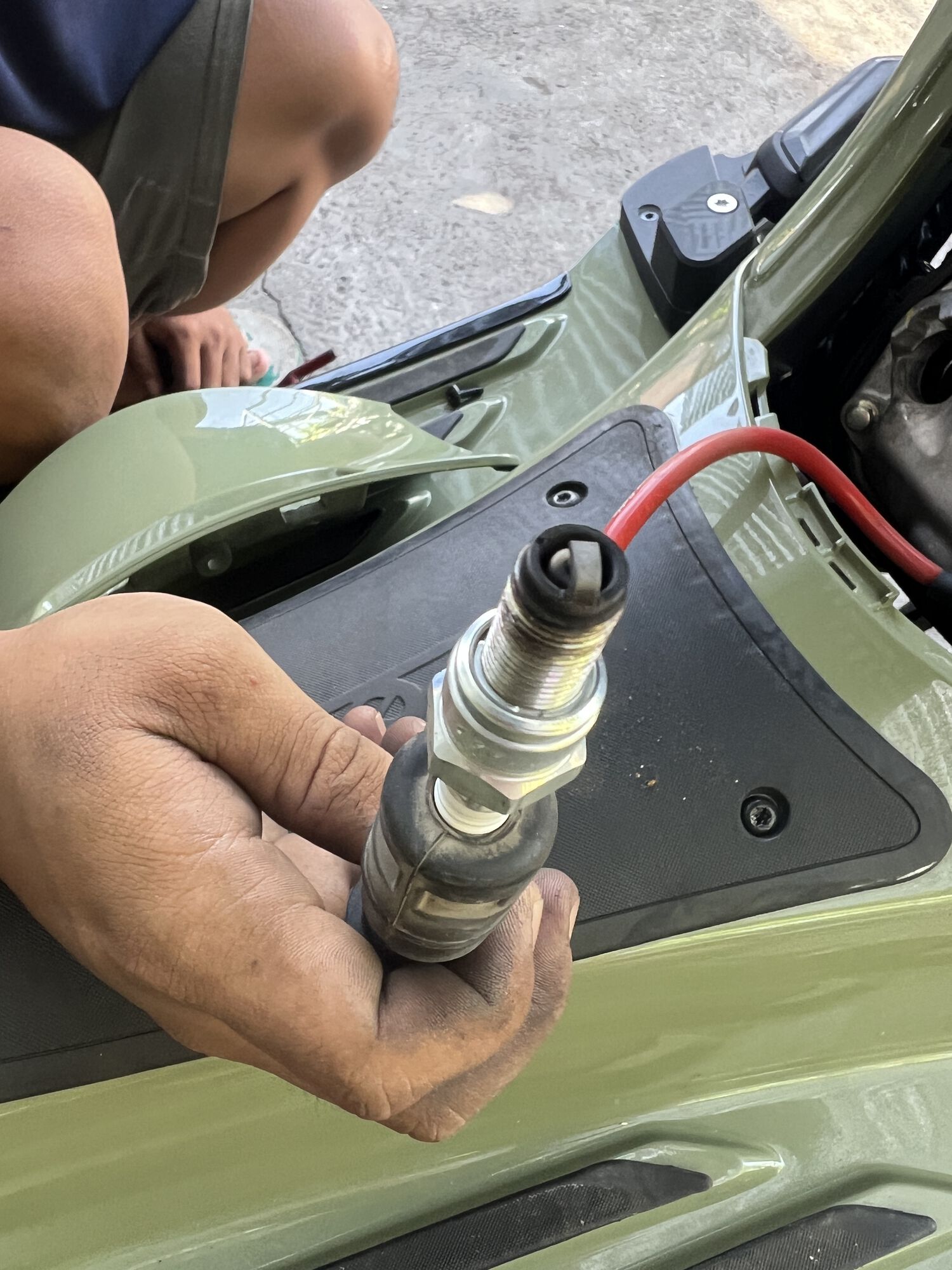 Forum member supplied image with no explanatory text